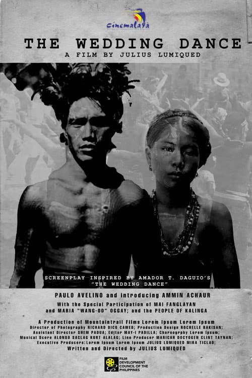 Poster for The Wedding Dance