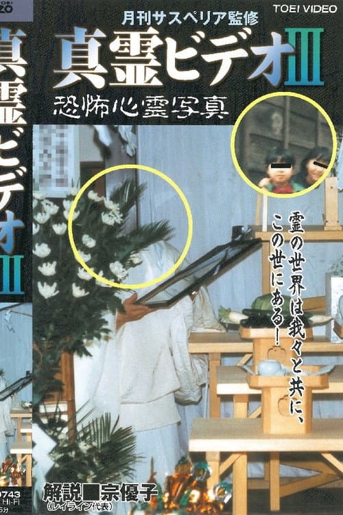 Постер до фільму «Shin rei bideo III: Kyôfu shinrei shashin»