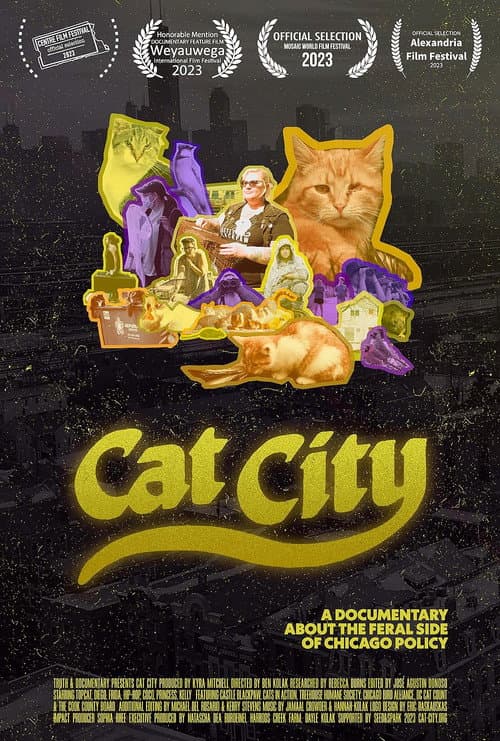 Poster for Cat City