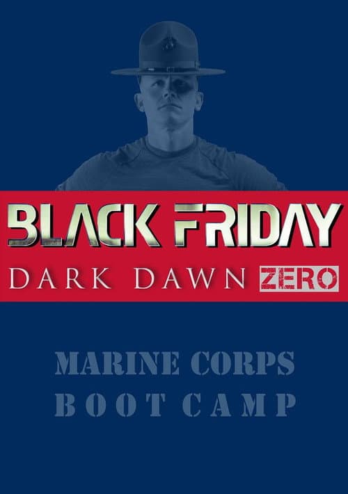 Poster for Black Friday: Dark Dawn Zero