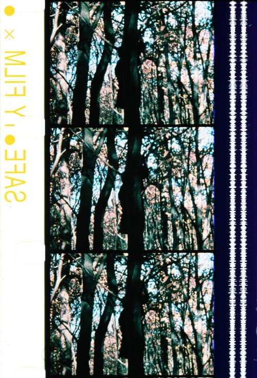Poster for Maya