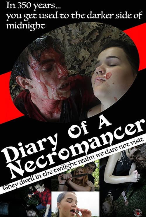 Poster for Diary of a Necromancer