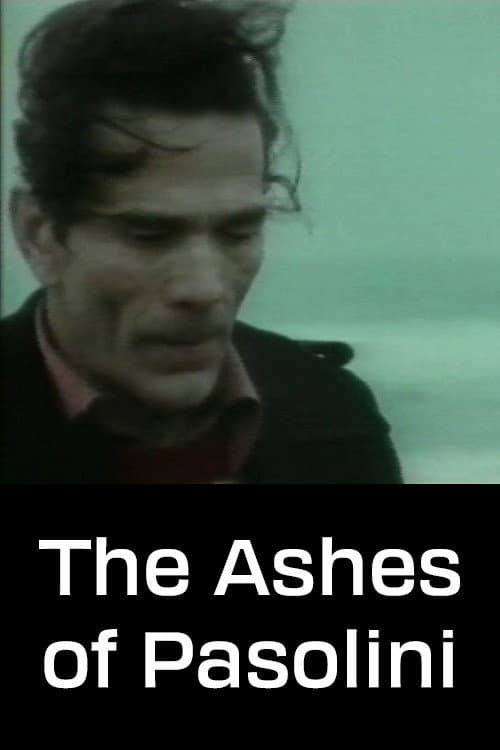 Poster for The Ashes of Pasolini