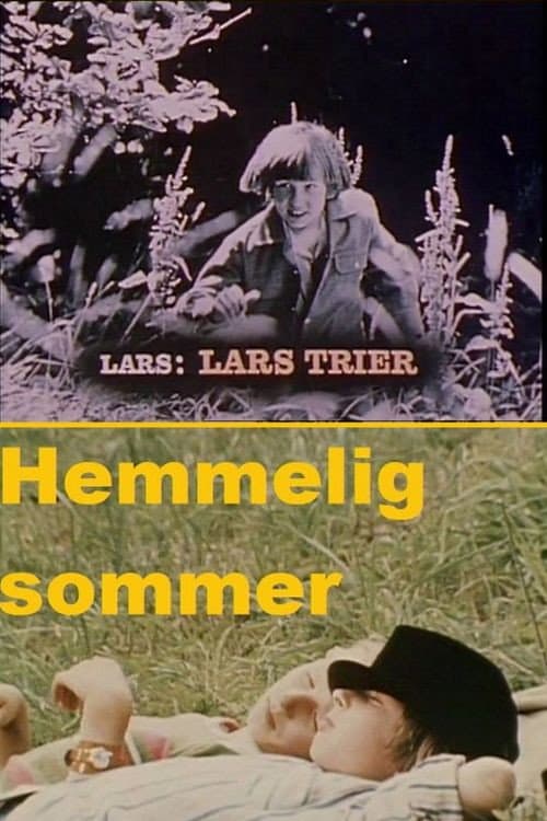 Poster for Clandestine Summer