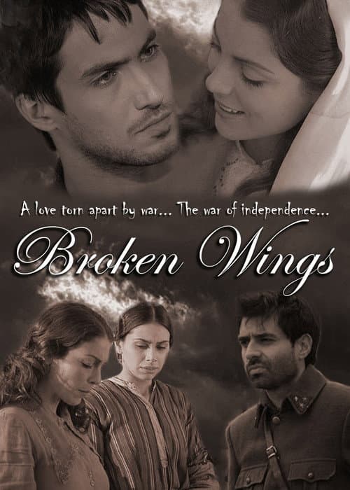 Poster for Kırık Kanatlar