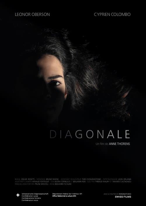Poster for Diagonale