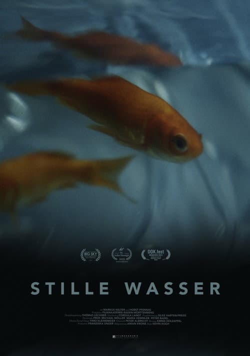 Poster for Silent Waters