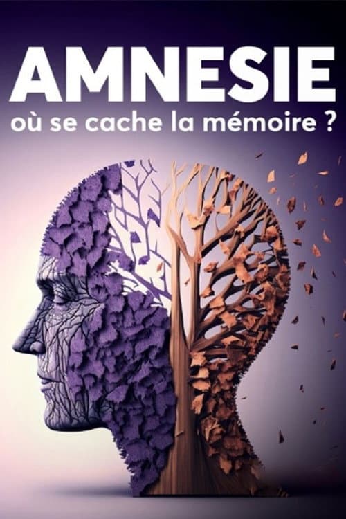 Poster for Amnésie - Où se cache la mémoire ?