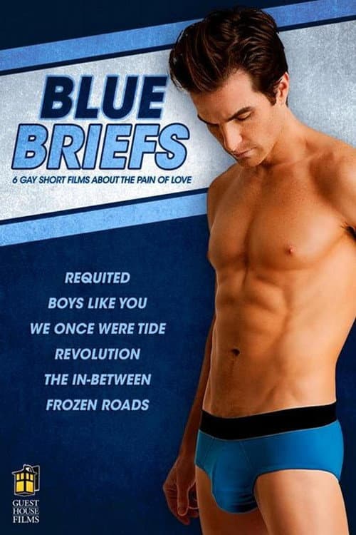 Poster for Blue Briefs