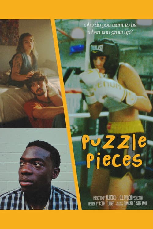Poster for Puzzle Pieces