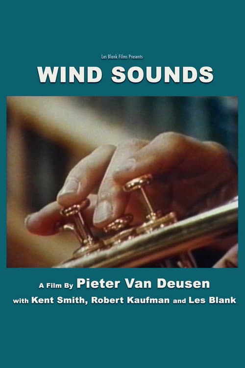 Poster for Wind Sounds