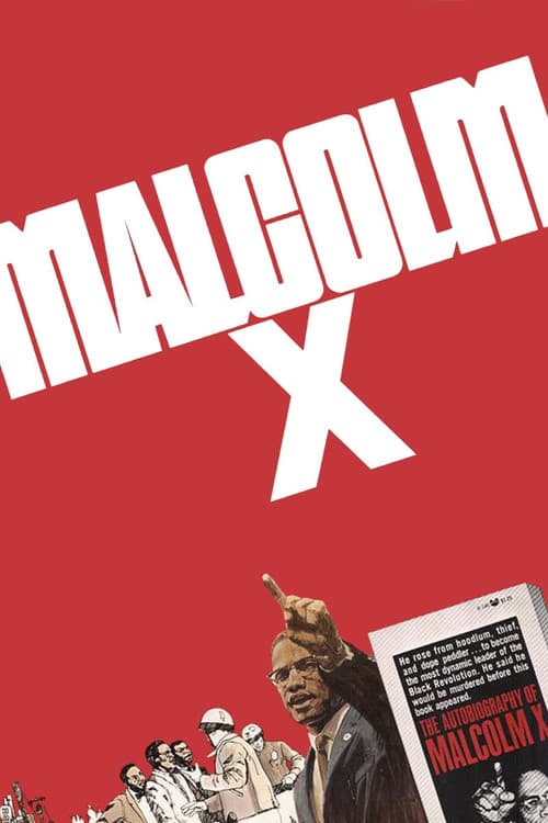 Poster for Malcolm X