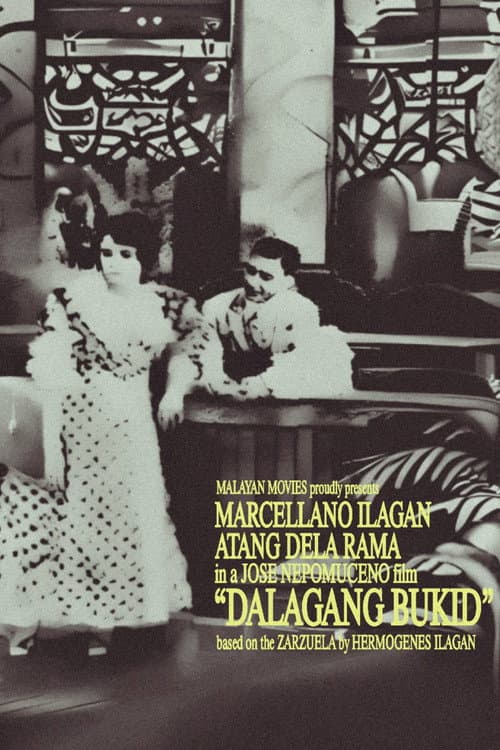 Poster for Country Maiden