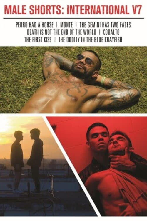 Poster for Male Shorts: International V7