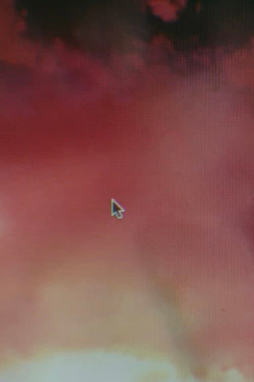 Poster for Late Embryo