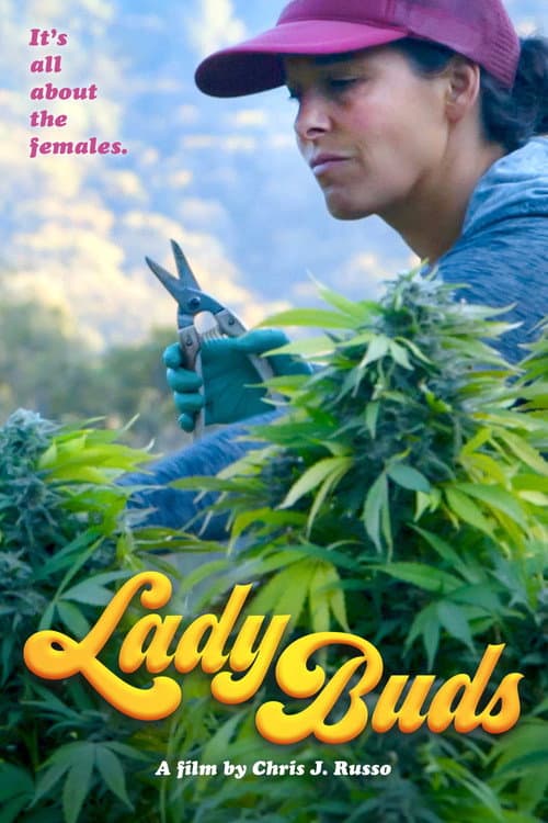 Poster for Lady Buds