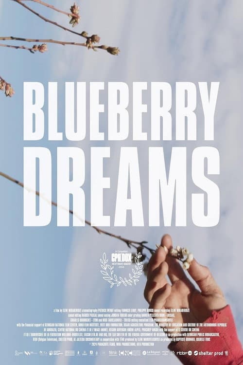 Poster for Blueberry Dreams