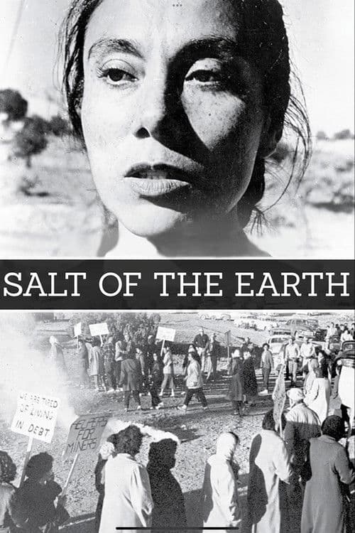 Poster for Salt of the Earth