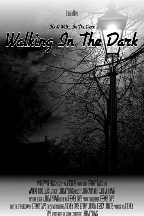 Poster for Walking In The Dark