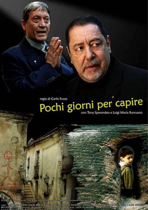 Poster for Pochi giorni per capire