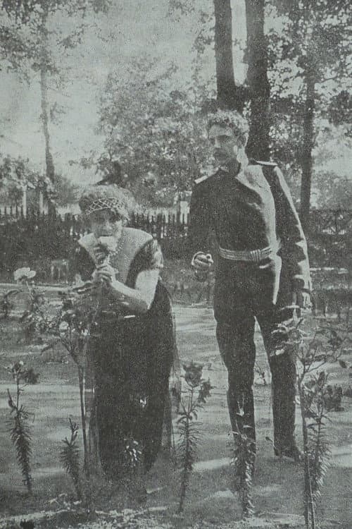 Poster for In The Nets of German Espionage