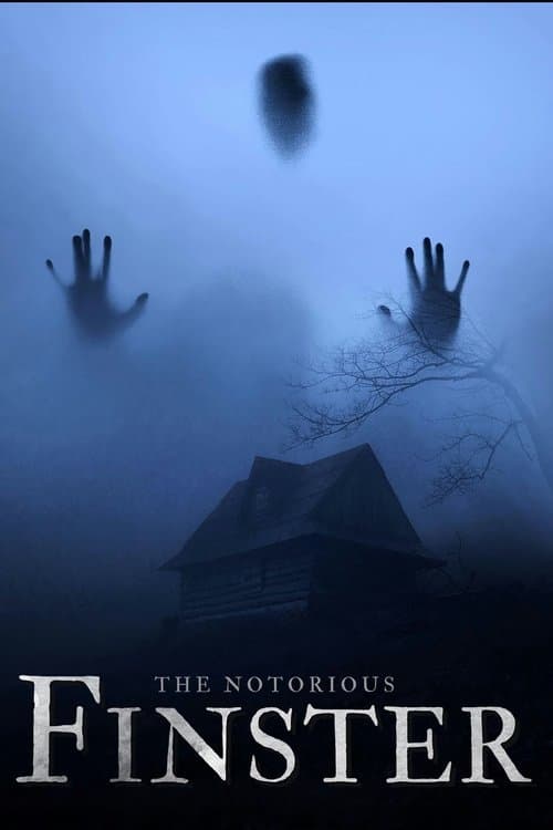 Poster for The Notorious Finster