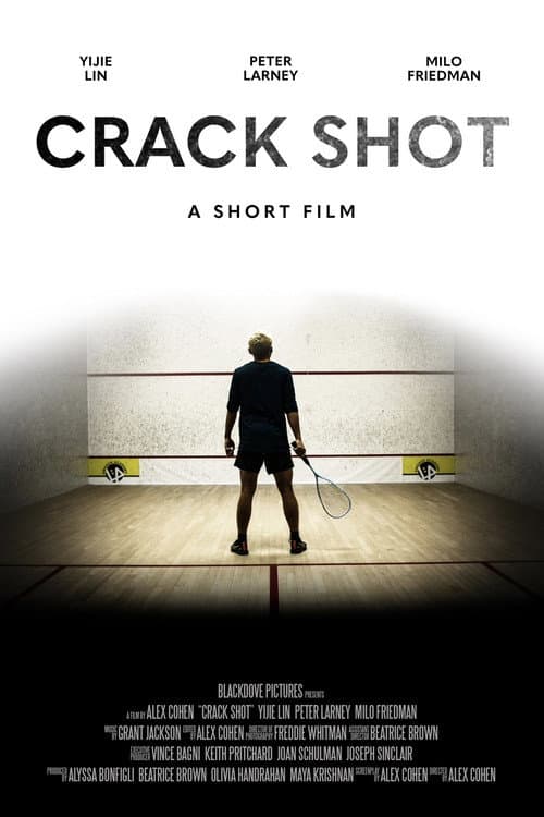 Poster for Crack Shot