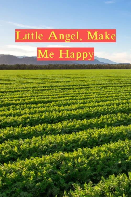 Poster for Little Angel, Make Me Happy