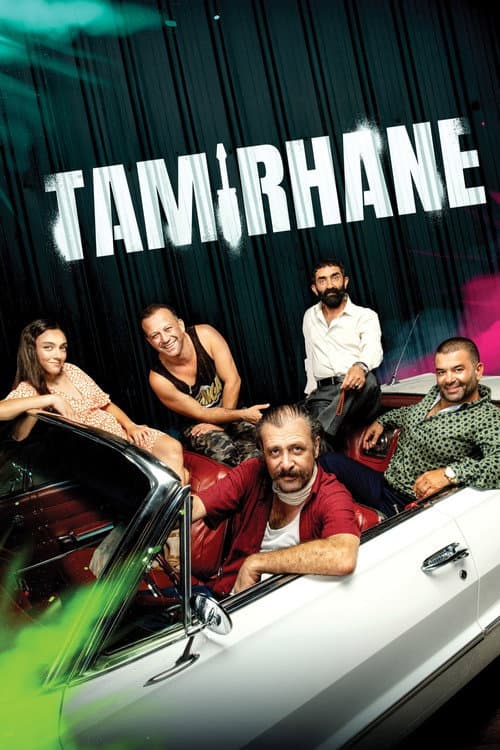 Poster for The Garage