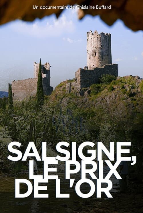 Poster for Salsigne : le prix de l'or