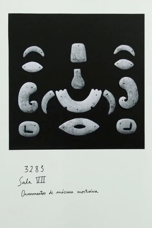 Poster for Luminous Shadow