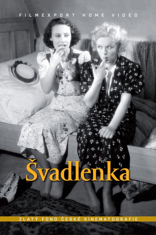 Poster for The Seamstress