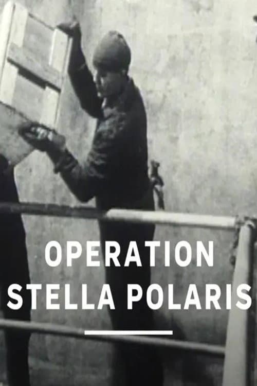 Poster for Operation Stella Polaris