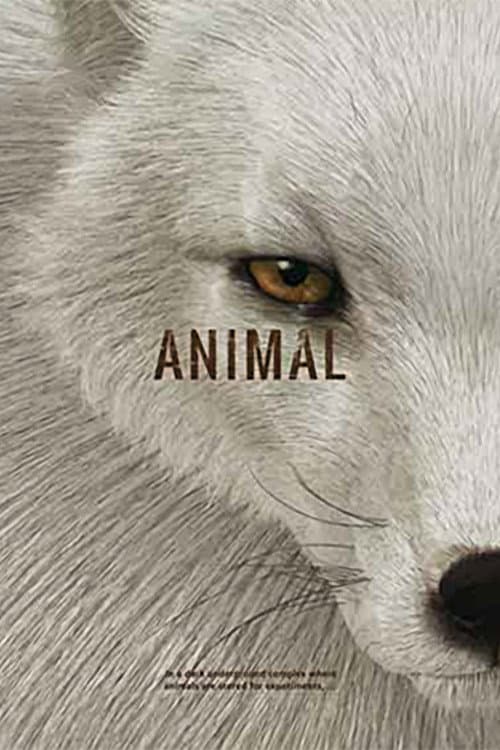 Poster for Animal
