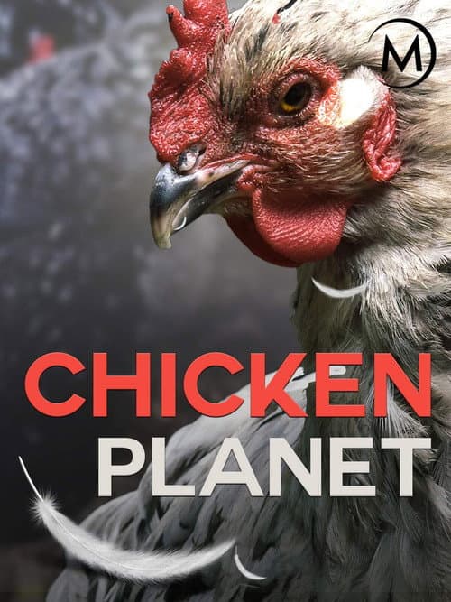Poster for Chicken Planet