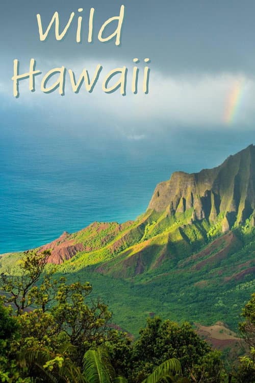 Poster for Wild Hawaii