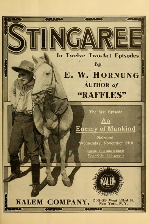 Poster for Stingaree