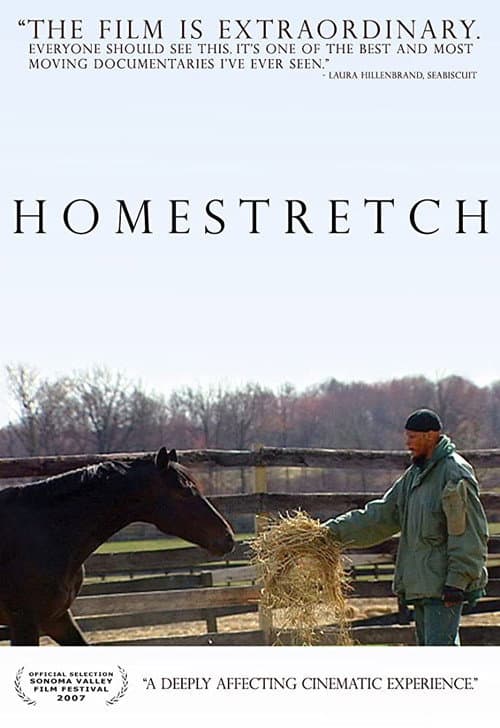 Poster for Homestretch