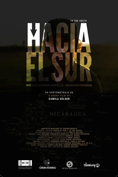 Poster for Hacia el sur