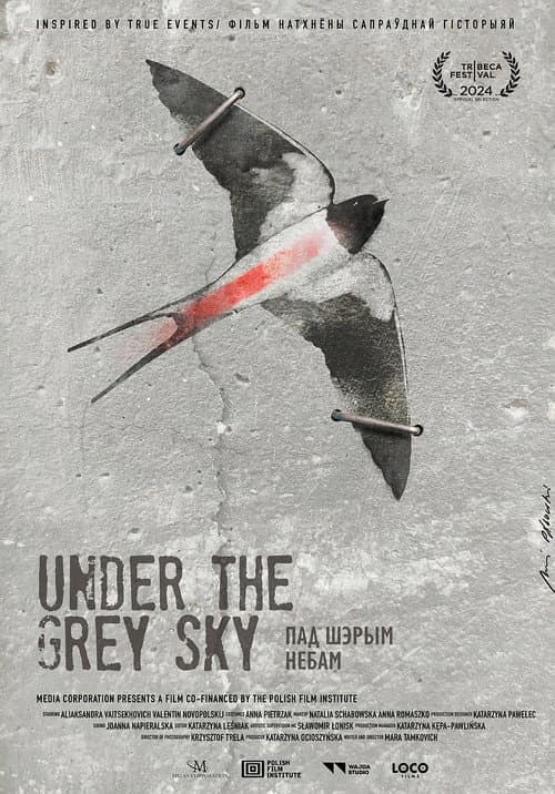 Poster for Under the Grey Sky