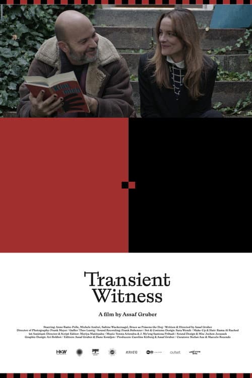 Poster for Transient Witness