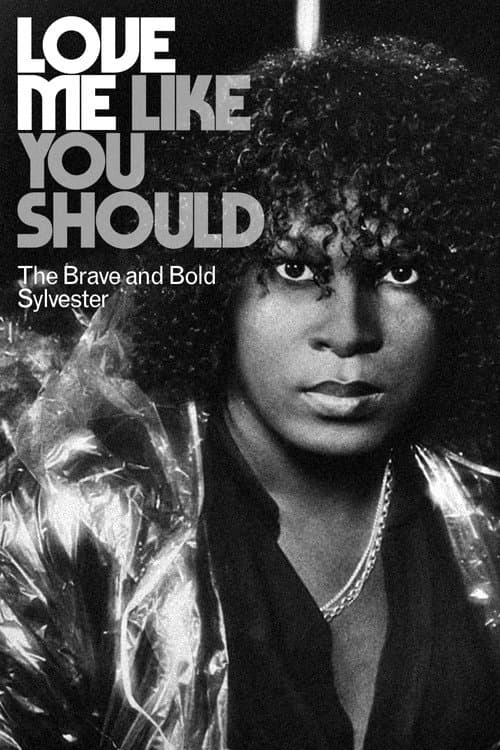 Poster for Love Me Like You Should: The Brave and Bold Sylvester