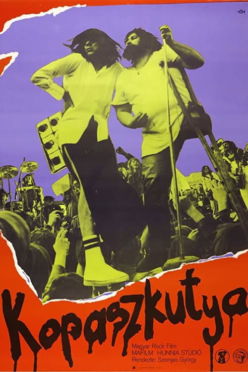 Poster for Bald Dog Rock