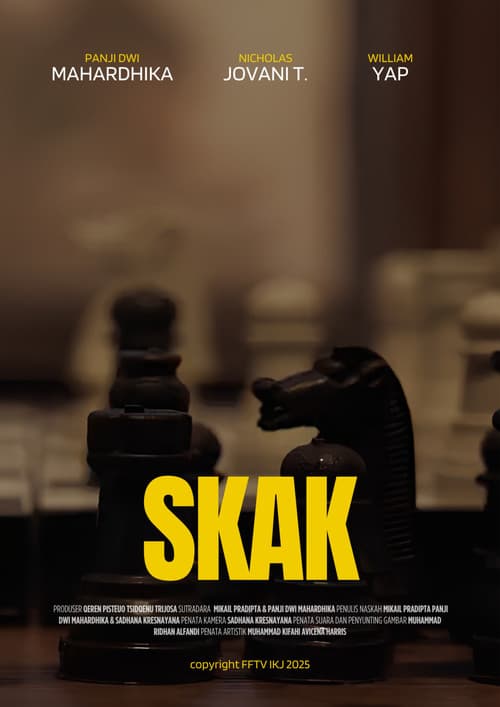 Poster for SKAK