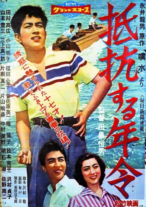 Poster for Age of Resistance