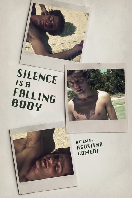 Poster for Silence Is a Falling Body