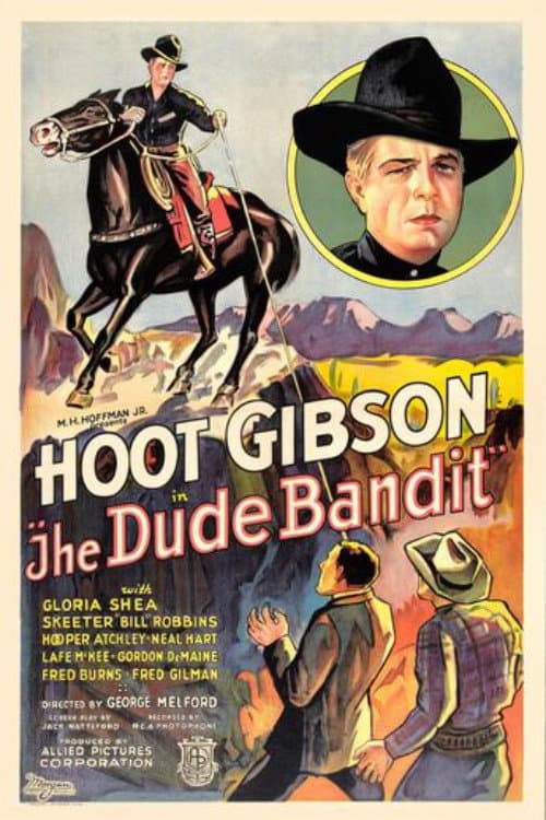 Poster for The Dude Bandit