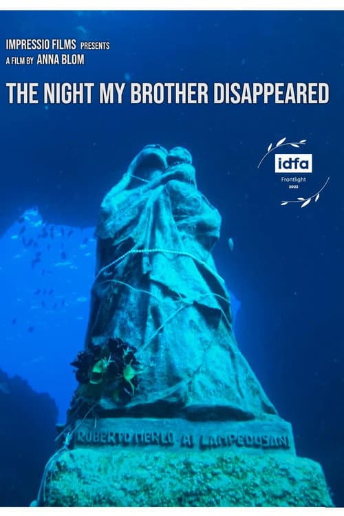 Poster for The Night My Brother Disappeared