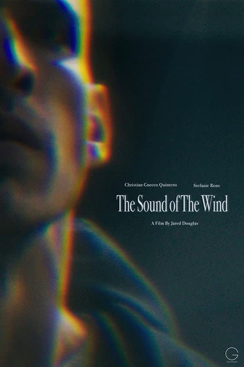 Постер до фільму «The Sound of the Wind»
