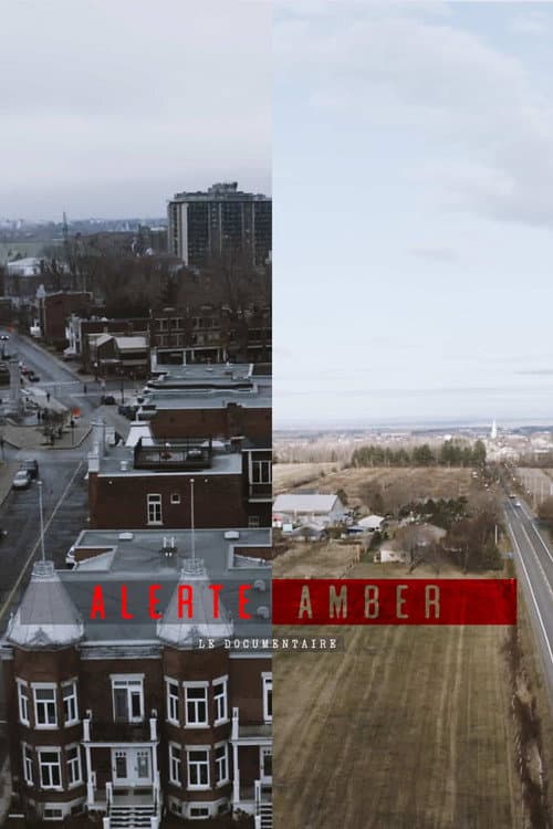 Poster for Alerte amber : le documentaire
